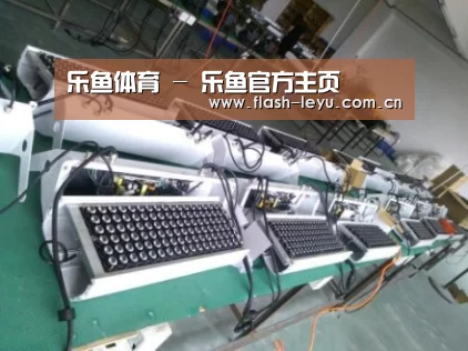 leyu体育官网案例展示一