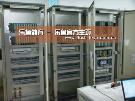 leyu体育官网案例展示五(图1)