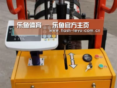 leyu体育官网案例展示三(图1)