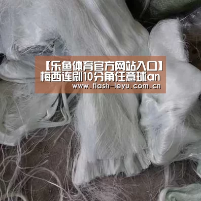 乐鱼体育官方平台