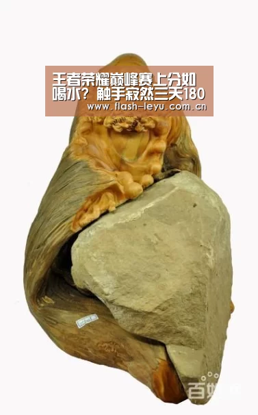 王者荣耀巅峰赛上分如喝水? 触手寂然三天1800分展现英雄海:乐鱼体育官方平台(图1) 乐鱼体育官方网站入口